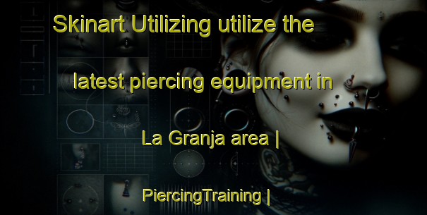 Skinart Utilizing utilize the latest piercing equipment in La Granja area | PiercingTraining | PiercingClasses | SkinartTraining-Argentina